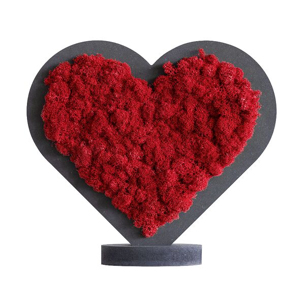 Pictogram Sweetheart red